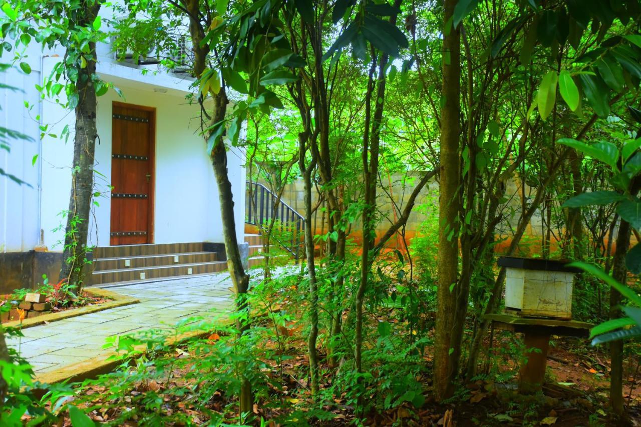 Forest Dew Udawalawe Exterior foto