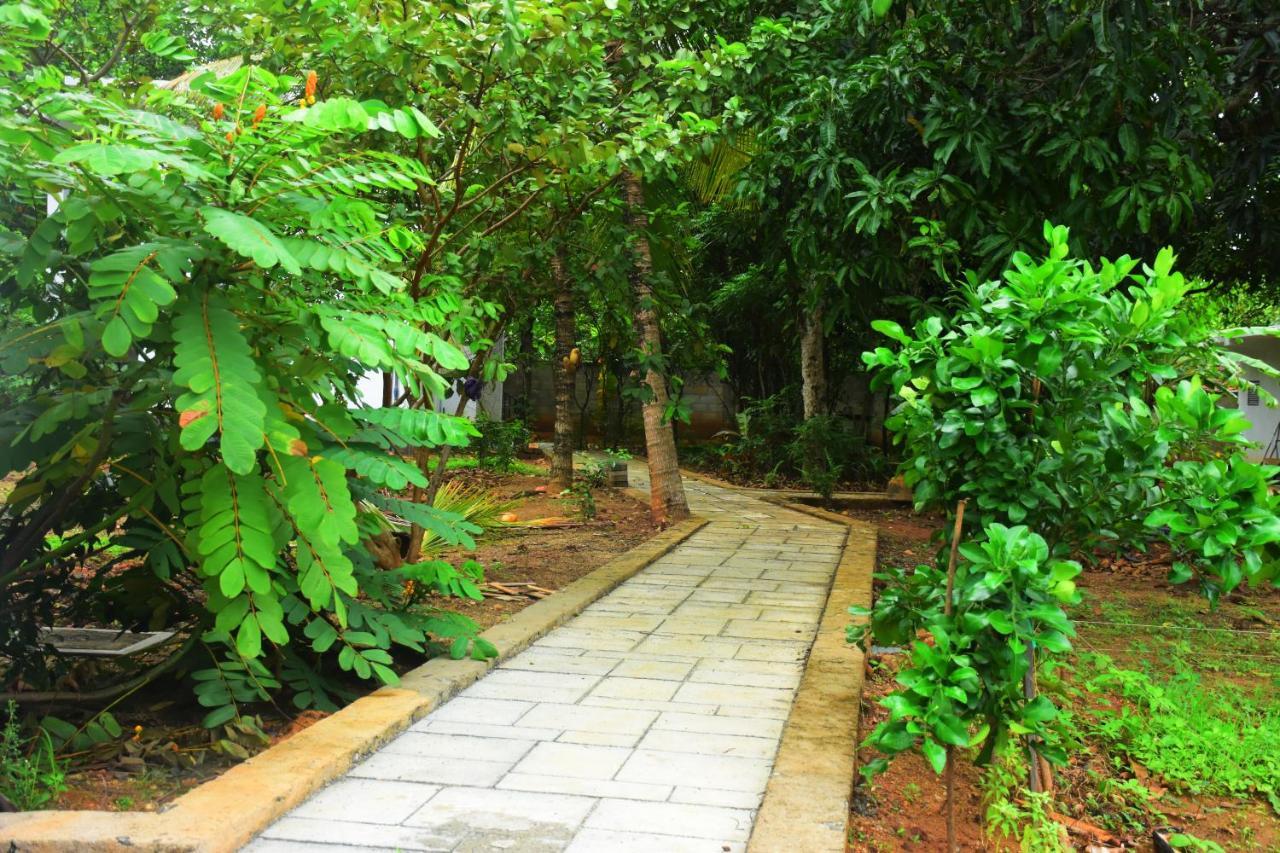 Forest Dew Udawalawe Exterior foto
